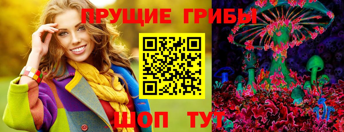 где купить наркотик  Вход с VPN  Протвино  Псилоцибиновые грибы Magic Shrooms 